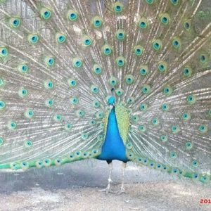 Meet your Posher, Stacie